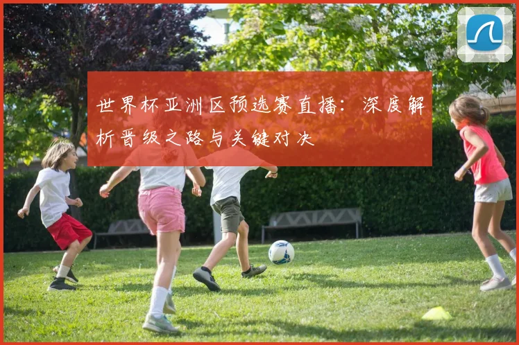 世界杯亚洲区预选赛直播：深度解析晋级之路与关键对决
